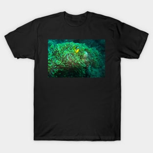 clown fish T-Shirt